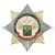 Значок мет. Орден-звезда Таможенная служба