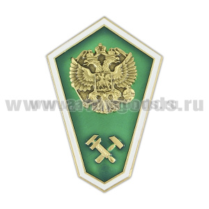 Значок мет. "Гробик" Среднее техническое образование (латунь, хол.эм. с накладкой) зеленый