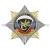 Значок мет. Орден-звезда ВВ ящерица