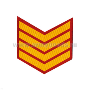 Курсовка пластизол. 4 курс (красн.) галочка