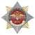 Значок мет. Орден-звезда Полиция ДПС