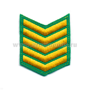 Курсовка вышит. 5 курс (зел.)