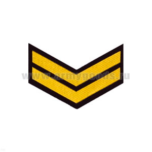 Курсовка пластизол. 2 курс (черн.) галочка