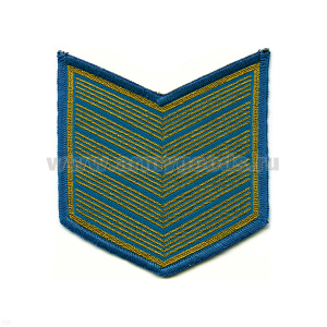 Курсовка тканая 5 курс голуб.