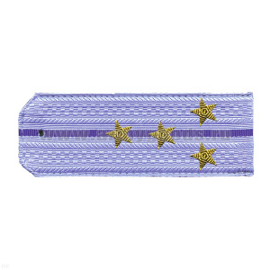 Погоны ФСБ нов/обр голуб. с 1 вас. просв. на рубашку, вышит. канителью (капитан)