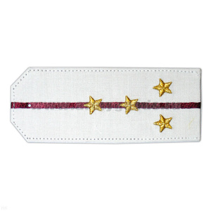 Погоны «машинная вышивка» из рубаш. ткани белые с 1 вышит. крап. просв. с вышит. звездами (капитан)