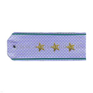 Погоны ПС ФСБ голуб. с 2 зел. полосками по краям на рубашку, вышит. канителью (ст. прапорщик)