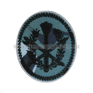 Шеврон вышит. Аппарат территор. органа УИС (овал с шестопером) "кукла" серая