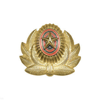 Кокарда пласт. РА бол. зол.