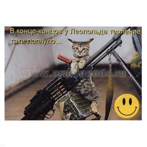 Магнит виниловый (гибкий) со смайликом В конце-концов у Леопольда терпение таки лопнуло...