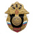Значок мет. Инж. войска (серия Россия)