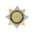 Значок мет. Орден-звезда Кадеты России