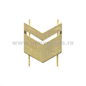 Лычка мет. ВС Старшина зол.