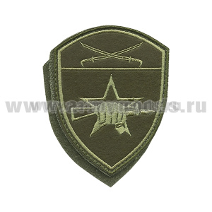 Шеврон вышит. Росгвардия Южный ВО (Спецназ) полевой на липучке
