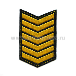 Курсовка вышит. 7 курс (черн.)