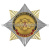Значок мет. Орден-звезда Миграционная служба