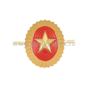 Кокарда мет. ВС Киргизии мал. зол. (звезда на красном фоне)