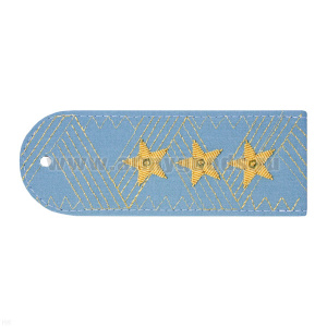 Погоны МЧС генерал-полковник (на рубашку) голубые