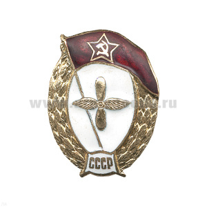 Значок мет. ВУ СССР (авиационное) овал, гор. эм.