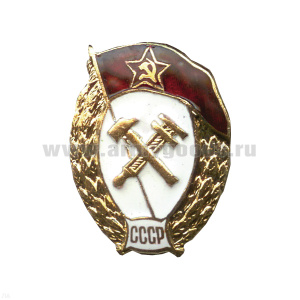 Значок мет. ВУ СССР (химической защиты) овал, гор. эм.