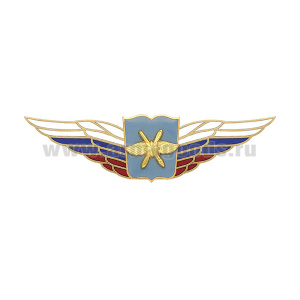 Значок мет. Должностной знак начальника высшего военного училища, проф. образоват. организации и общеобразовательной организации ВКС (№53)