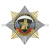 Значок мет. Орден-звезда ВВ сфинкс