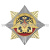 Значок мет. Орден-звезда ВМФ (орел)