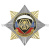 Значок мет. Орден-звезда ВВ лев