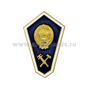 Значок мет. Гробик Среднее техническое образование (СССР)