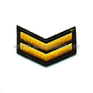 Курсовка вышит. 2 курс (черн.)