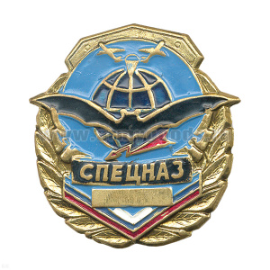 Значок мет. Спецназ (летуч. мышь на фоне глобуса)