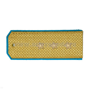 Погоны парадные золотые (шелк) с голуб. кантом, вышит. канителью (ст. прапорщик)