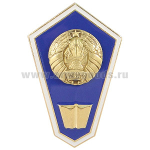 Значок мет. "Гробик" РБ Среднее гуманитарное образование (латунь, хол.эм. с накладкой)