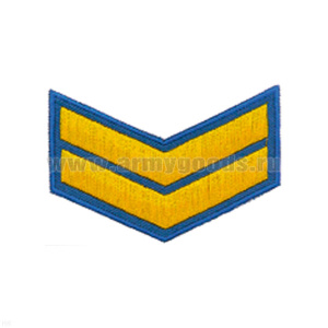 Курсовка вышит. 2 курс (голуб.)