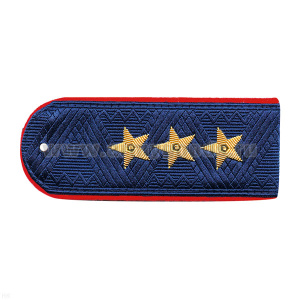 Погоны Внутренней службы МВД генерал-полковник на китель (синие с красным кантом) ст/обр