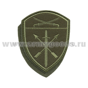 Шеврон вышит. Росгвардия Южный ВО (В/ч оперативного назначения) полевой на липучке