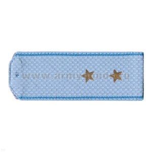 Погоны ВВС голуб. с голуб. кантом (на рубашку) канитель (прапорщик)