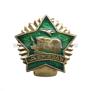 Значок мет. Дембель (зел.) звезда