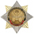 Значок мет. Орден-звезда Автомобильные войска (эмблема нов/обр)