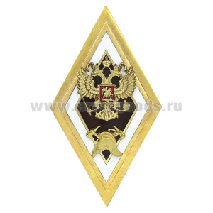 Значок мет. Выпускник академии ГПС МЧС РФ (гор. эм)