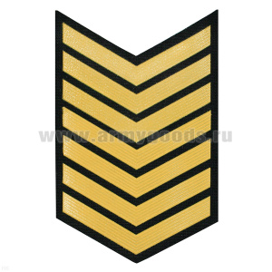 Курсовка пластизол. 7 курс (черн.) галочка