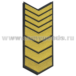 Нашивки вышит. (черн. фон, желт. вышивка) для контрактников 24 год (на липучке)