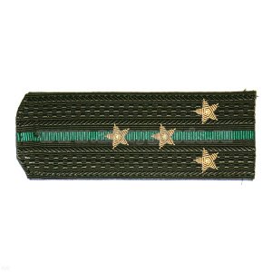 Погоны ПС ст/обр оливк. с 1 зел. просв., вышит. канителью (капитан)