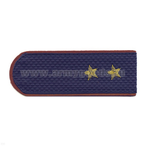 Погоны ФСИН серо-синие с крап. кантом на китель, вышит. канителью (прапорщик)