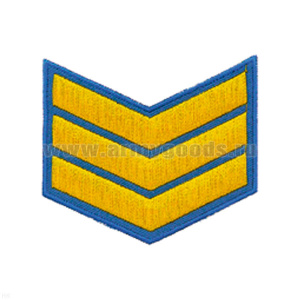 Курсовка вышит. 3 курс (голуб.)