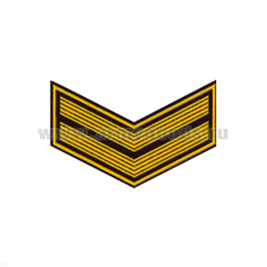 Курсовка пластизол. 2 курс (черн.) галочка (с просветами)