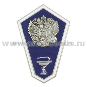 Значок мет. "Гробик" Среднее ветеринарное образование (латунь, хол.эм. с накладным орлом РФ)