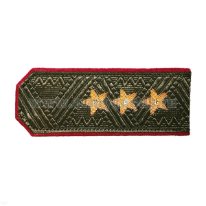Погоны генерал-полковник оливк. с крап. кантом (на китель)