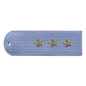 Погоны Полиция нов/обр без канта серо-голуб. вышит. канителью (ст. прапорщик)