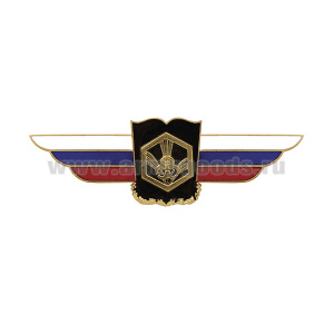 Значок мет. Должностной знак начальника военной академии (РХБЗ)